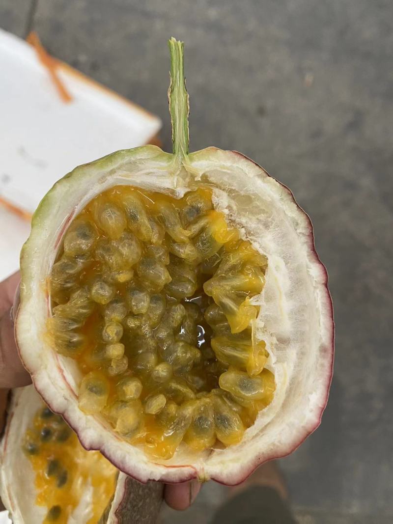 金都三号新鲜水蜜桃百香果大量现货一手货源厂地直发