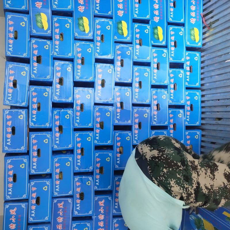 特小凤西瓜山东特小凤西瓜潍坊特小凤西瓜一手货源