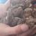 【优选】农产品香菇精品干香菇品质保证货源充足
