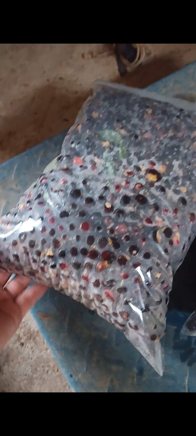 正宗白花牛奶根干货，统货阳枝5厘米以下香味浓郁