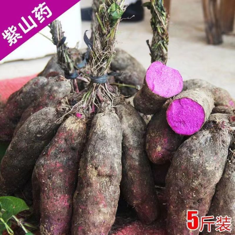 中介2毛，赣州安运紫山药