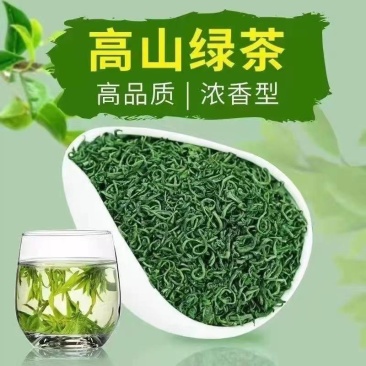 绿茶2024新茶正宗浓香型高山云雾绿茶特香高档茶叶