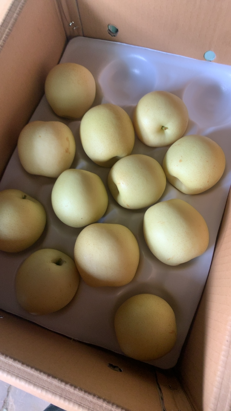 皇冠梨