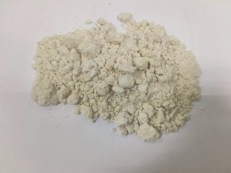 提过油的废硅藻土