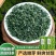 高级绿茶2024新茶云雾绿茶浓香型茶叶独立包装高档礼盒装