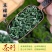 高级绿茶2024新茶云雾绿茶浓香型茶叶独立包装高档礼盒装