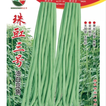 长豆角珠豇三号油白豆角豇豆肉厚鲜嫩商品性好采收期长春夏