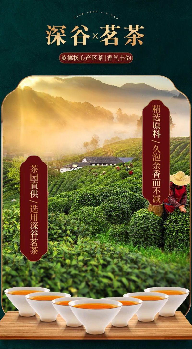 英红九号英德红茶一级9号浓香型2024新茶春茶深山花香袋