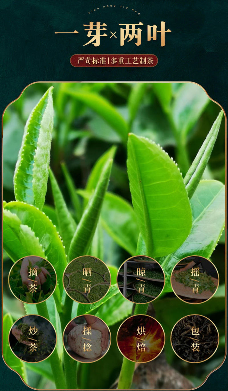 英红九号英德红茶一级9号浓香型2024新茶春茶深山花香袋