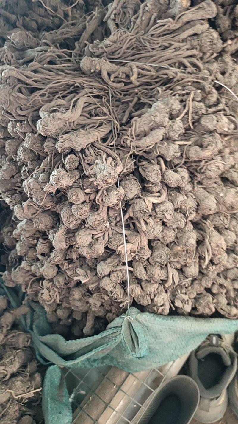 岷当归当归片，货真价实无硫货