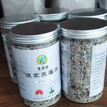 精品张家界莓茶精挑细选视频看货量大从优视频看货