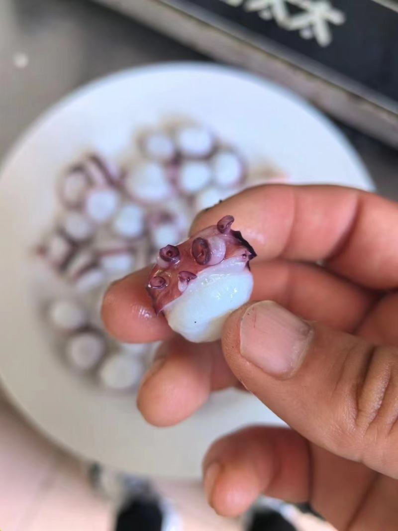 章鱼足八爪鱼切片火锅商用半成品适用火锅干锅寿司小刺身白心
