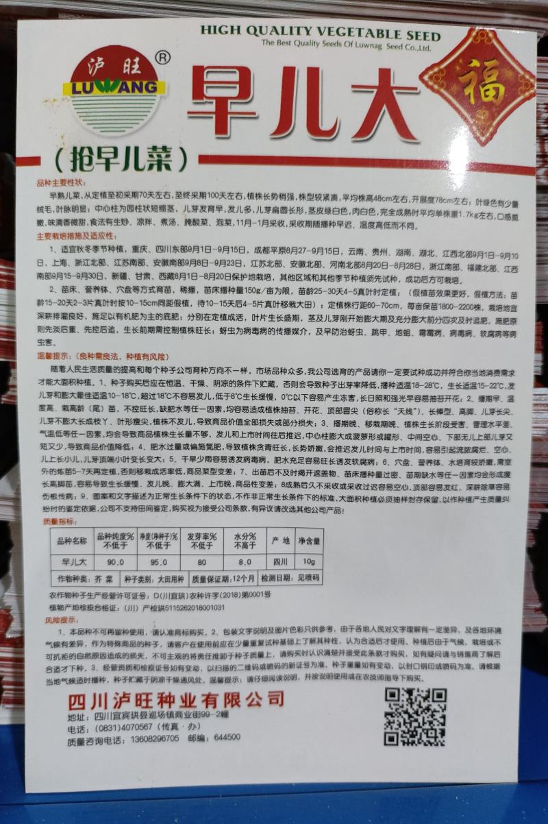 早熟儿菜种子早儿大基地种植早上市卖好价钱