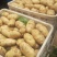 黄心土豆个头大品质好货源充足量大从优可供商超