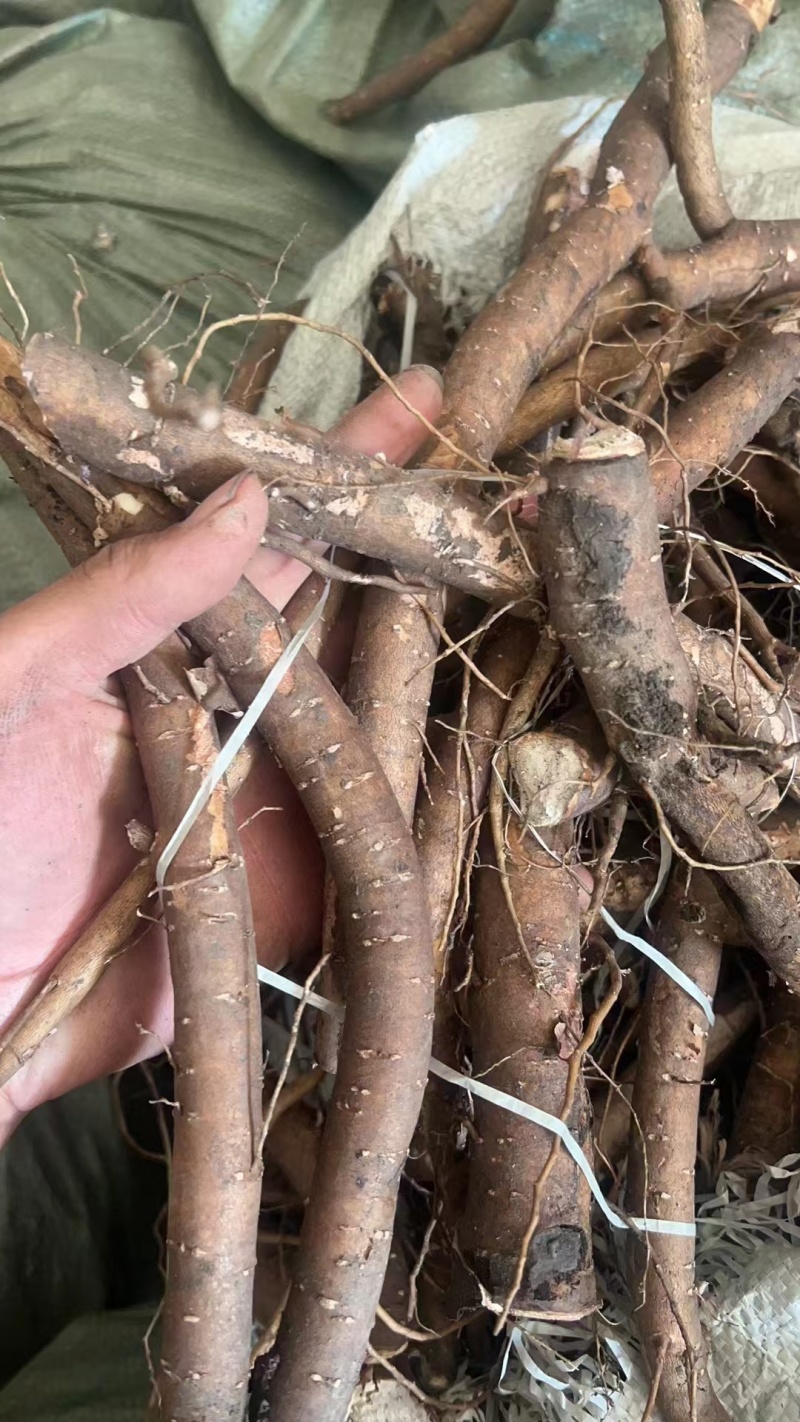 内蒙赤芍大量现货供应，一手货源，规格齐全，代发全国