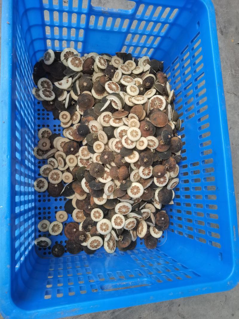 玳玳酸橙枳壳