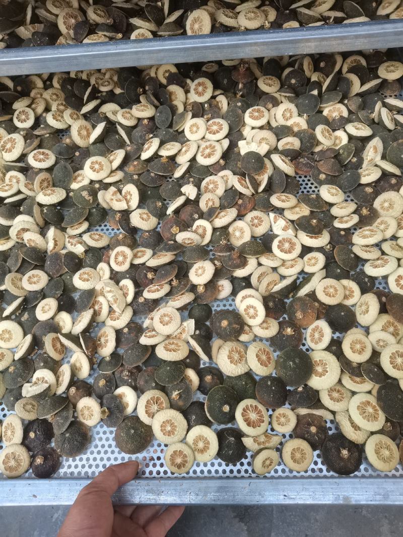 玳玳酸橙枳壳