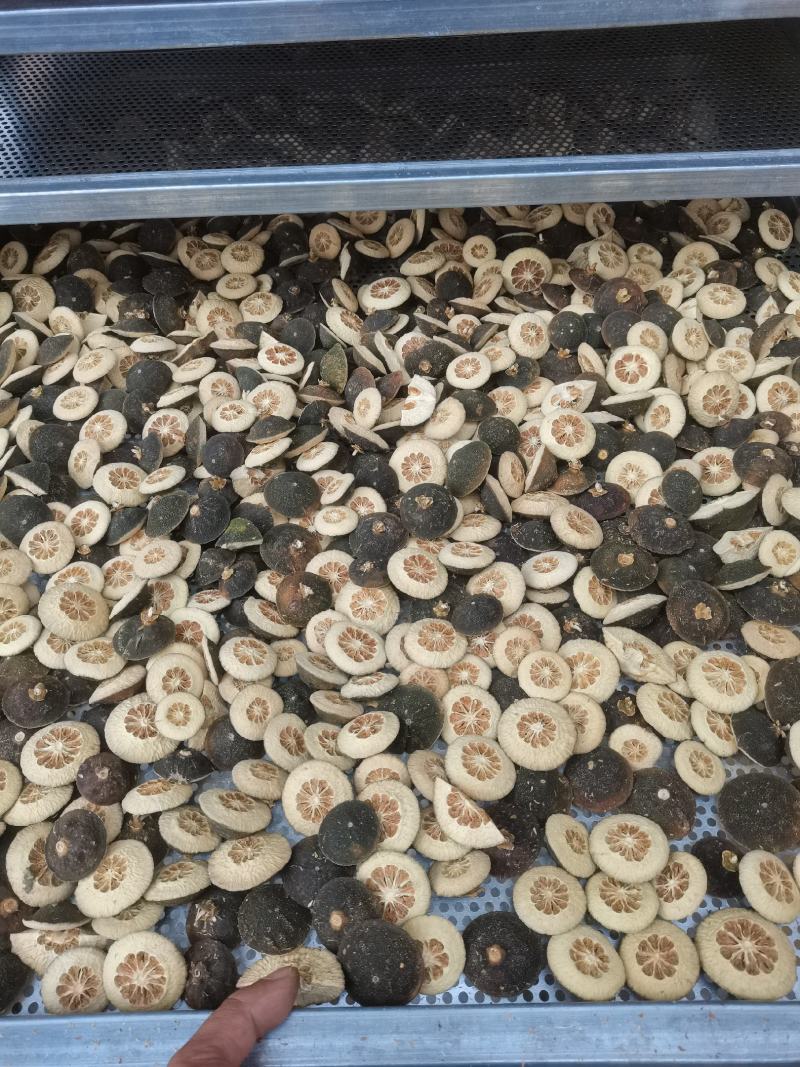 玳玳酸橙枳壳