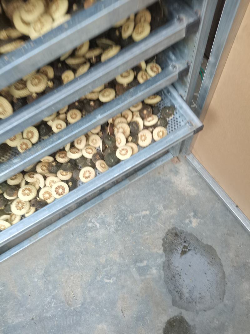 玳玳酸橙枳壳