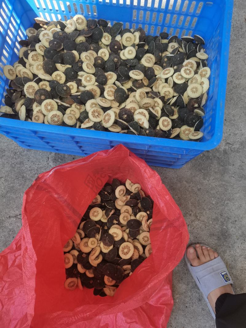 玳玳酸橙枳壳