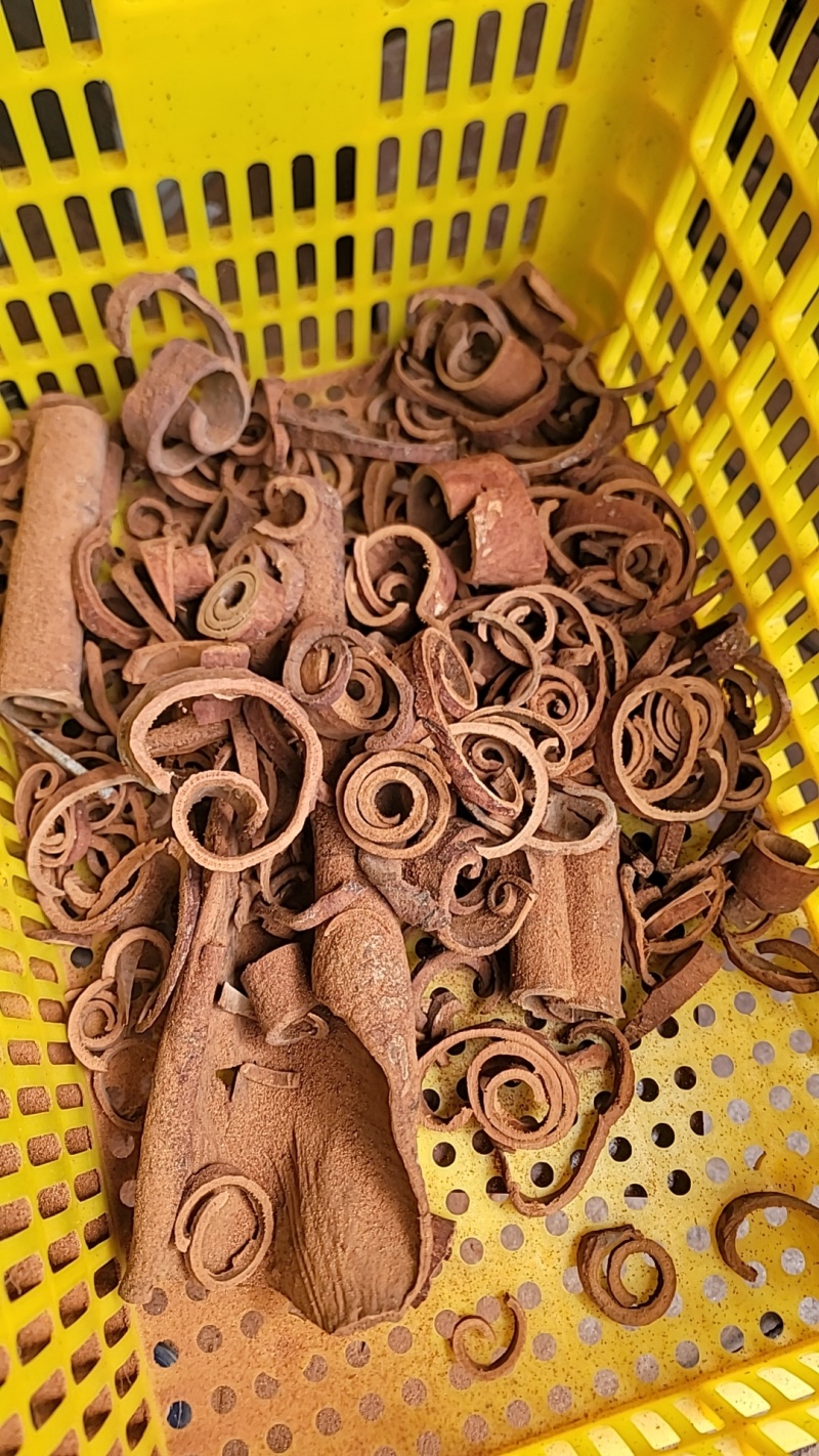 【岭南中桂】御桂系列黑油桂(白芽桂)老龄大桂边角料