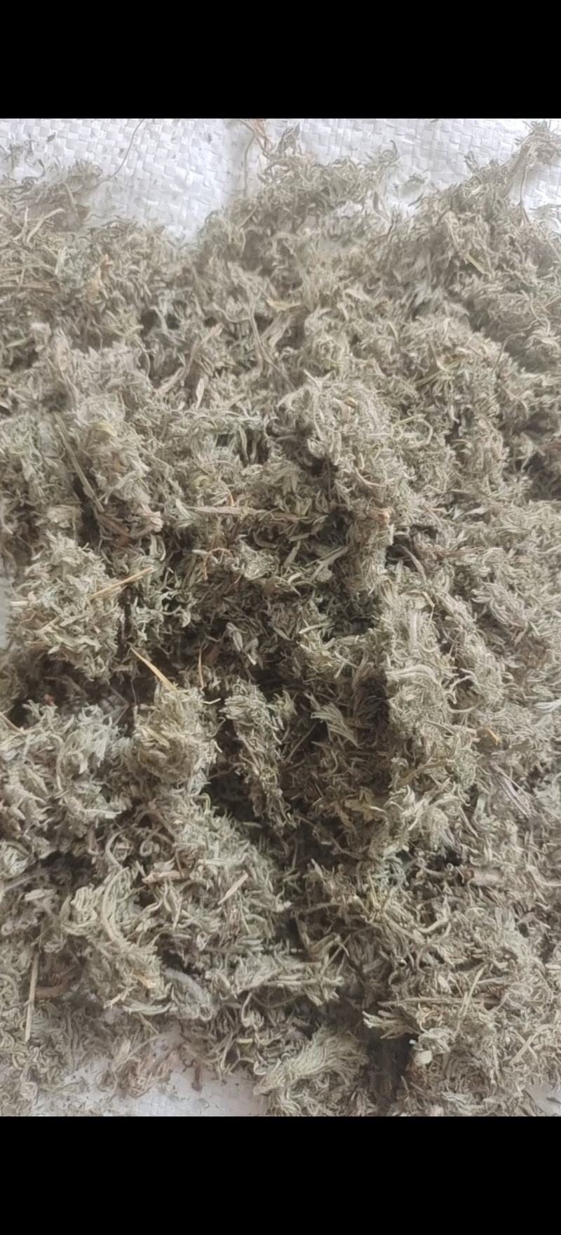茵陈茵陈产地河南省地道药材紫轩堂药业
