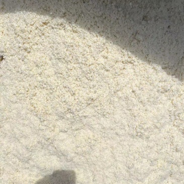 精品豆渣/闪蒸烘干豆渣湿豆渣量大从优优质豆渣欢迎老板洽谈