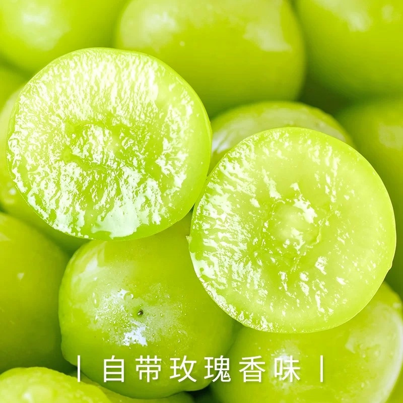 四川阳光玫瑰大量上市甜口量大价优可视频看货欢迎老板
