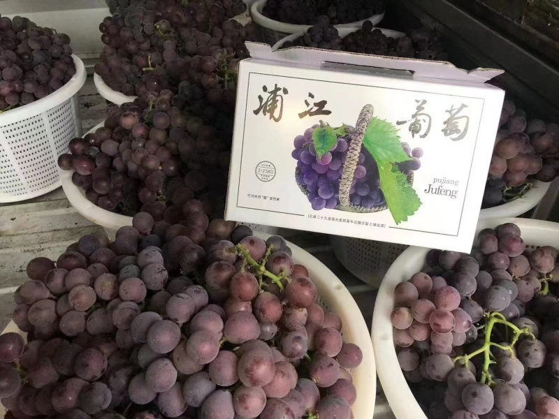 葡萄