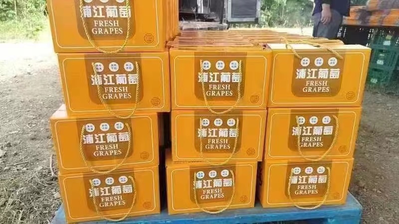 葡萄