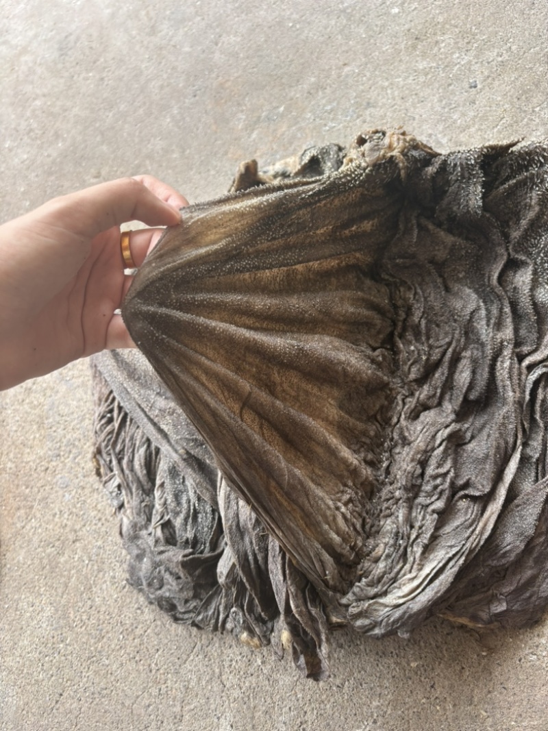 圆刀盐干牛毛肚A货全国发货出成高
