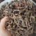 钩藤产地直发一手货源品质保证欢迎各位，全国发货，