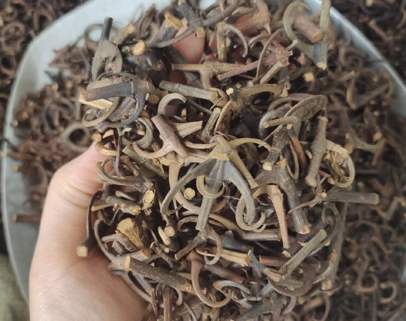 钩藤产地直发一手货源品质保证欢迎各位，全国发货，
