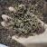 钩藤产地直发一手货源品质保证欢迎各位，全国发货，
