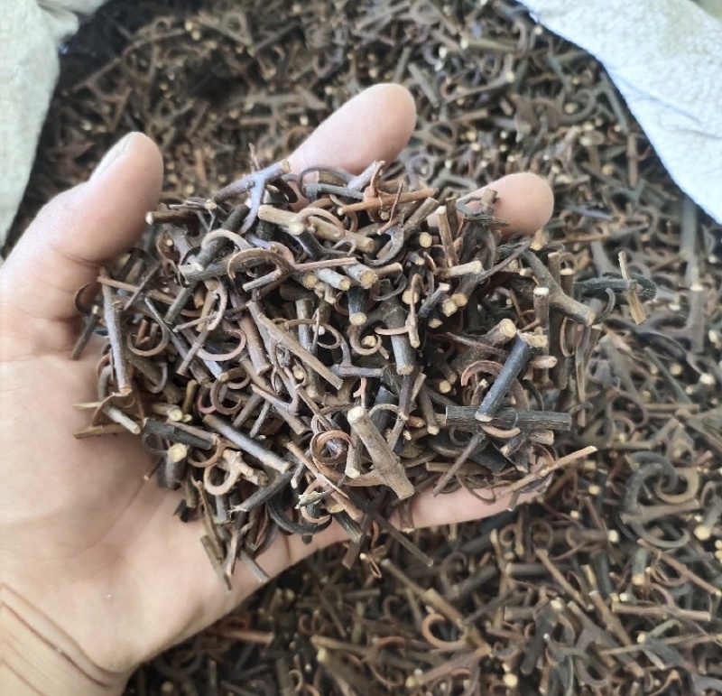 钩藤产地直发一手货源品质保证欢迎各位，全国发货，