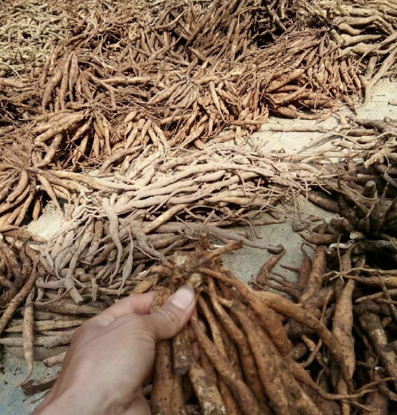 百部一手货源产地直发品质保证欢迎各位老板