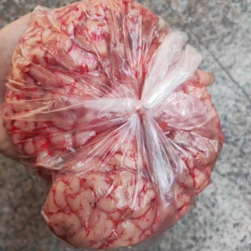 牛脑河南发货，品种齐全，50斤起售，运费自理欢迎来电