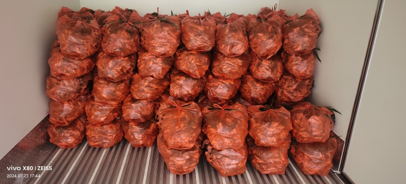 贵州惠水优质子姜，产地直发品质保证货源充足