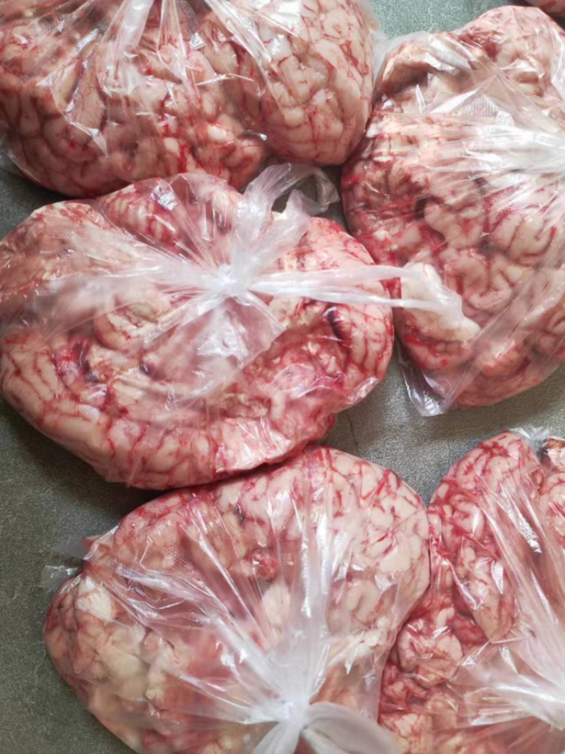 牛脑河南发货，品种齐全，50斤起售，运费自理欢迎来电