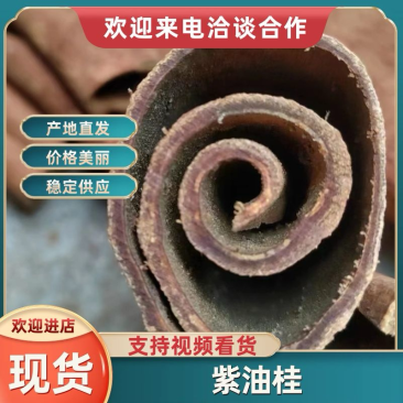 广西油桂，紫油桂，产地直发大量有货欢迎各位老板咨询采购