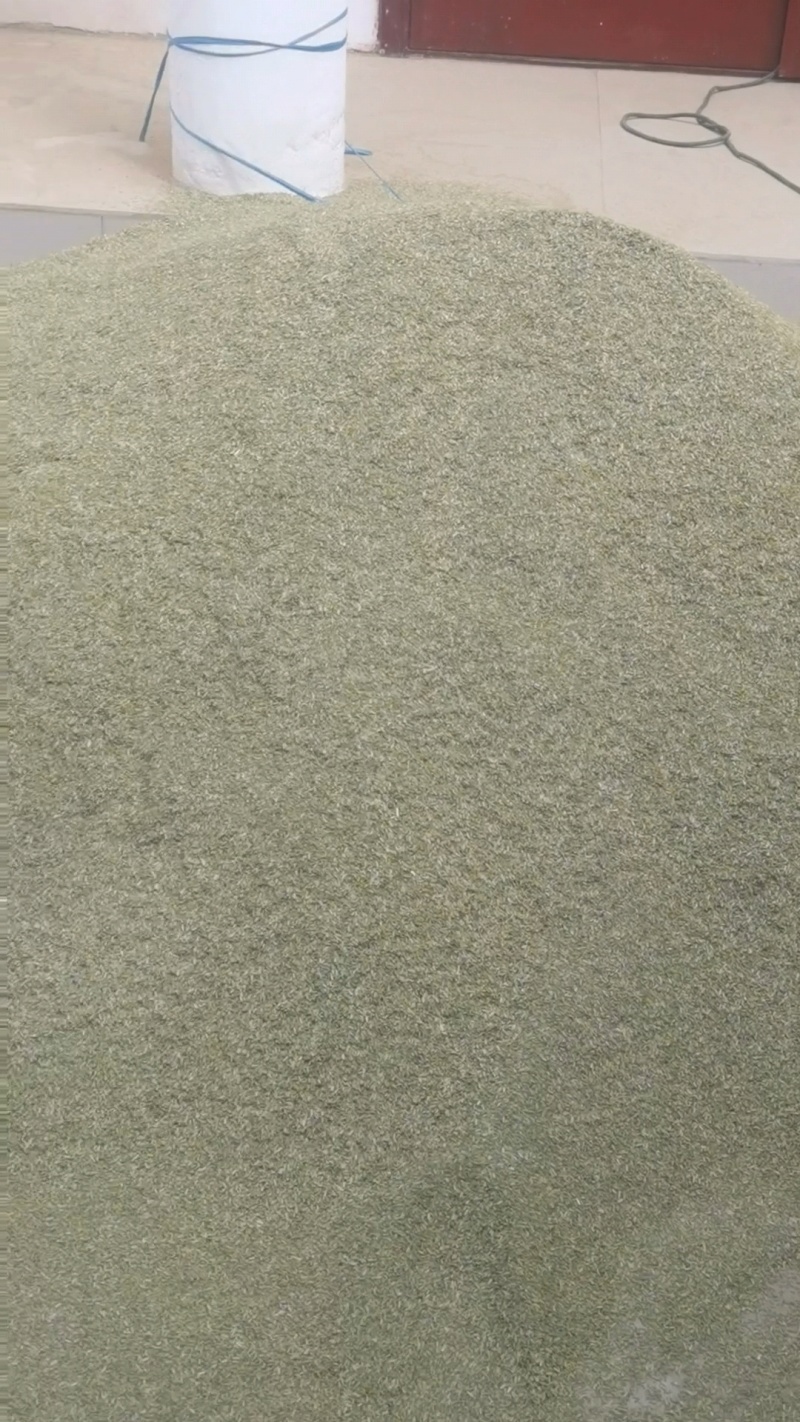 小茴香新货