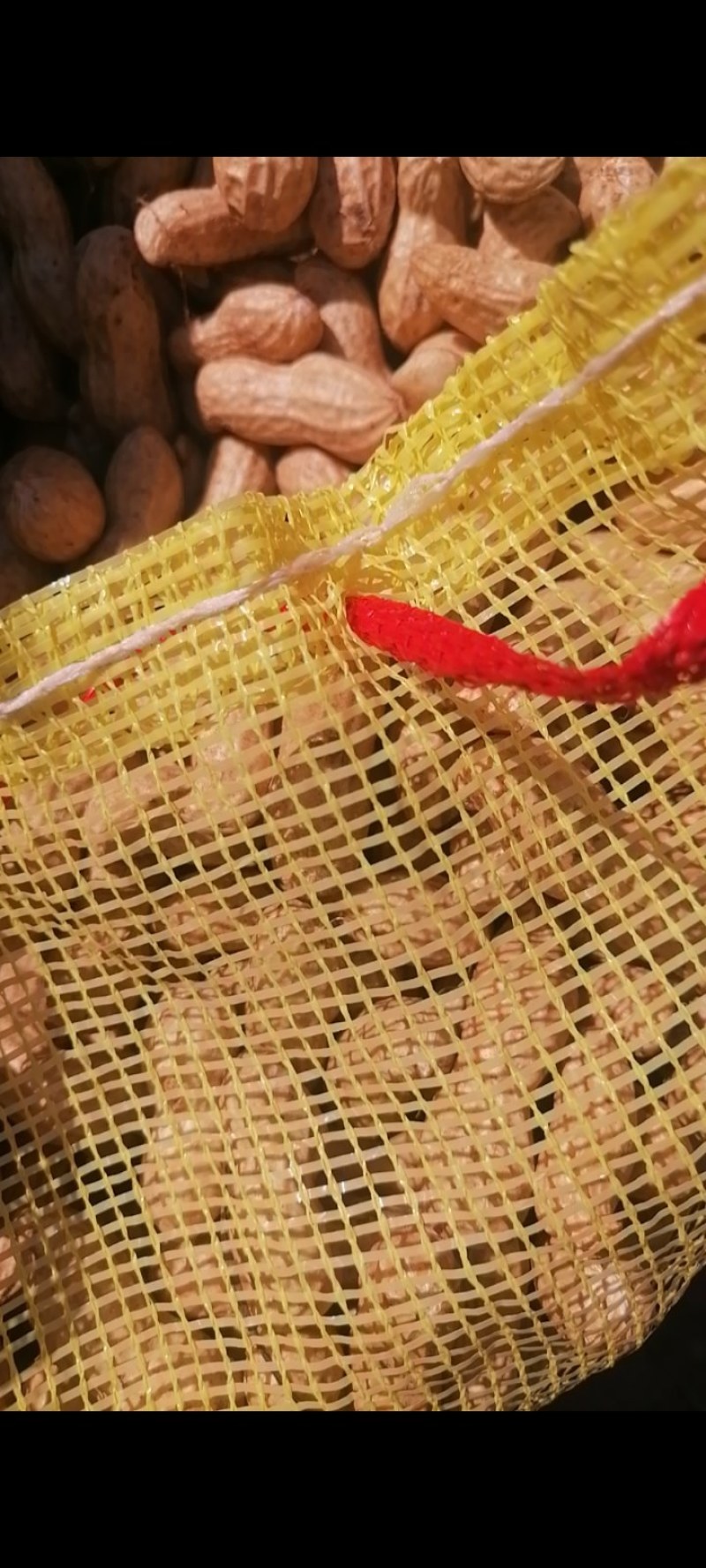 【推荐】河南精品花生米产地直发大量供应