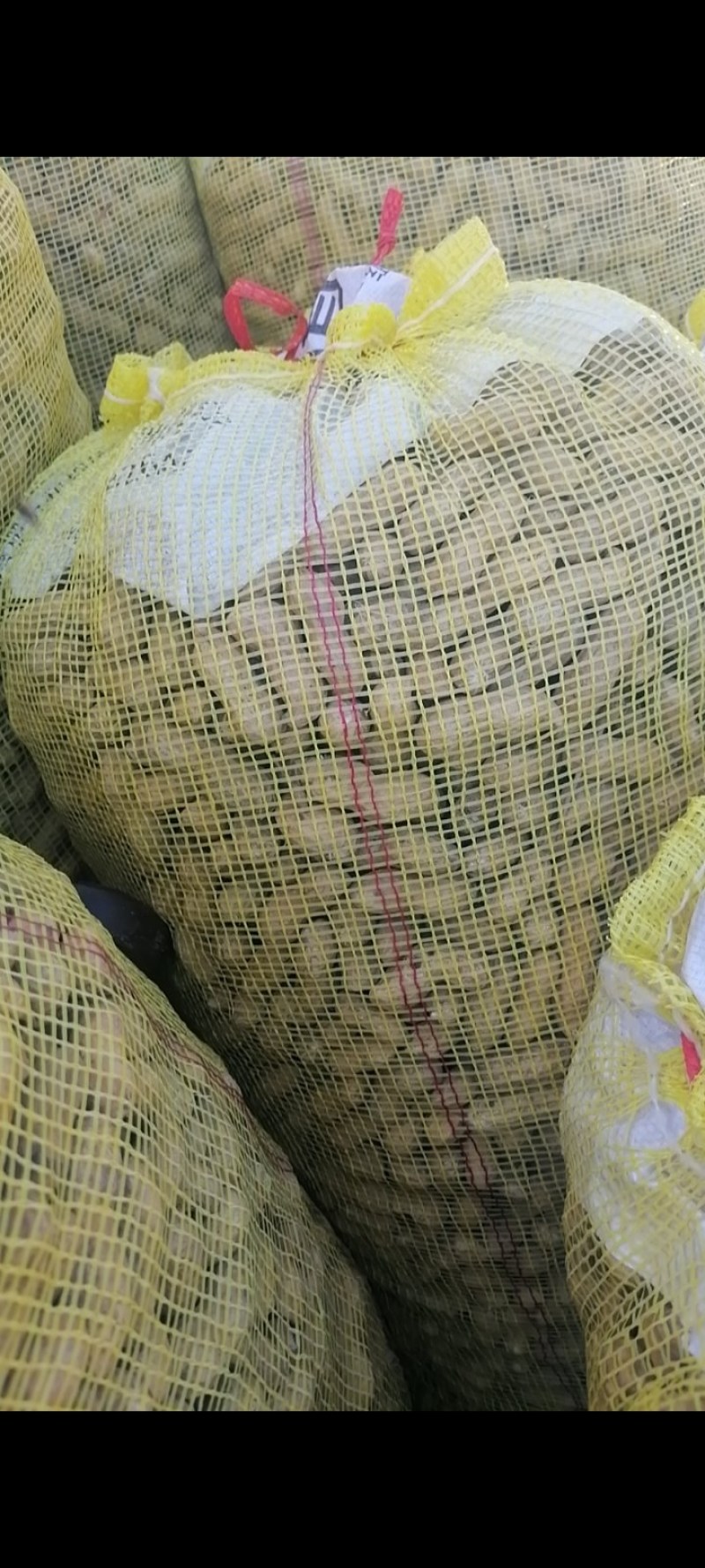 【推荐】河南精品花生米产地直发大量供应