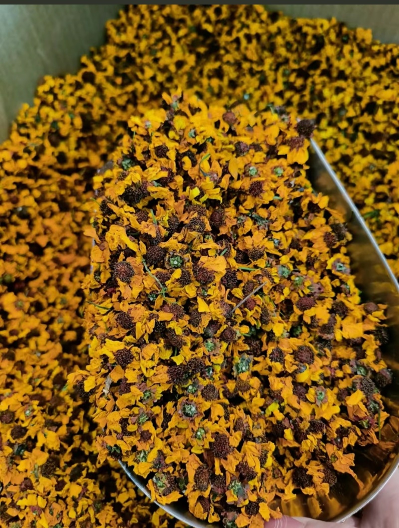 雪菊