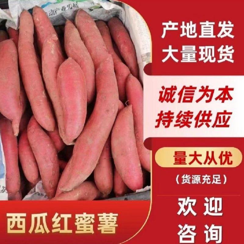 西瓜红蜜薯电商长条红薯养殖加工厂淀粉薯龙薯济薯