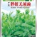 豌豆种子胖妞无须豌粗胖型无须豌豆品种分枝力强脆嫩