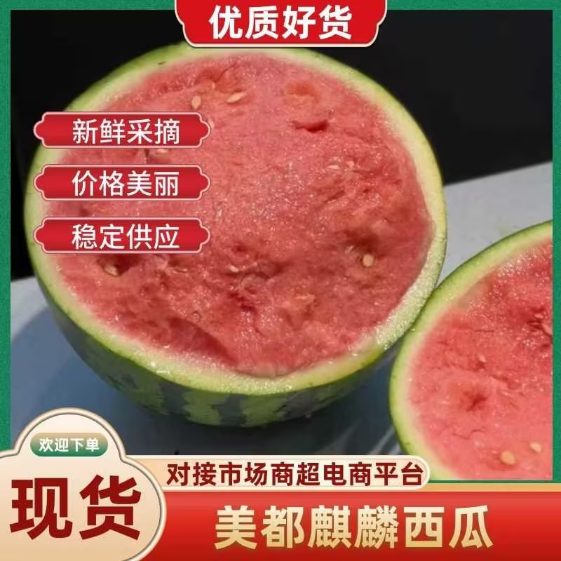 【精品】陕西麒麟美都西瓜，产地直发全国，口感好，欢迎来电