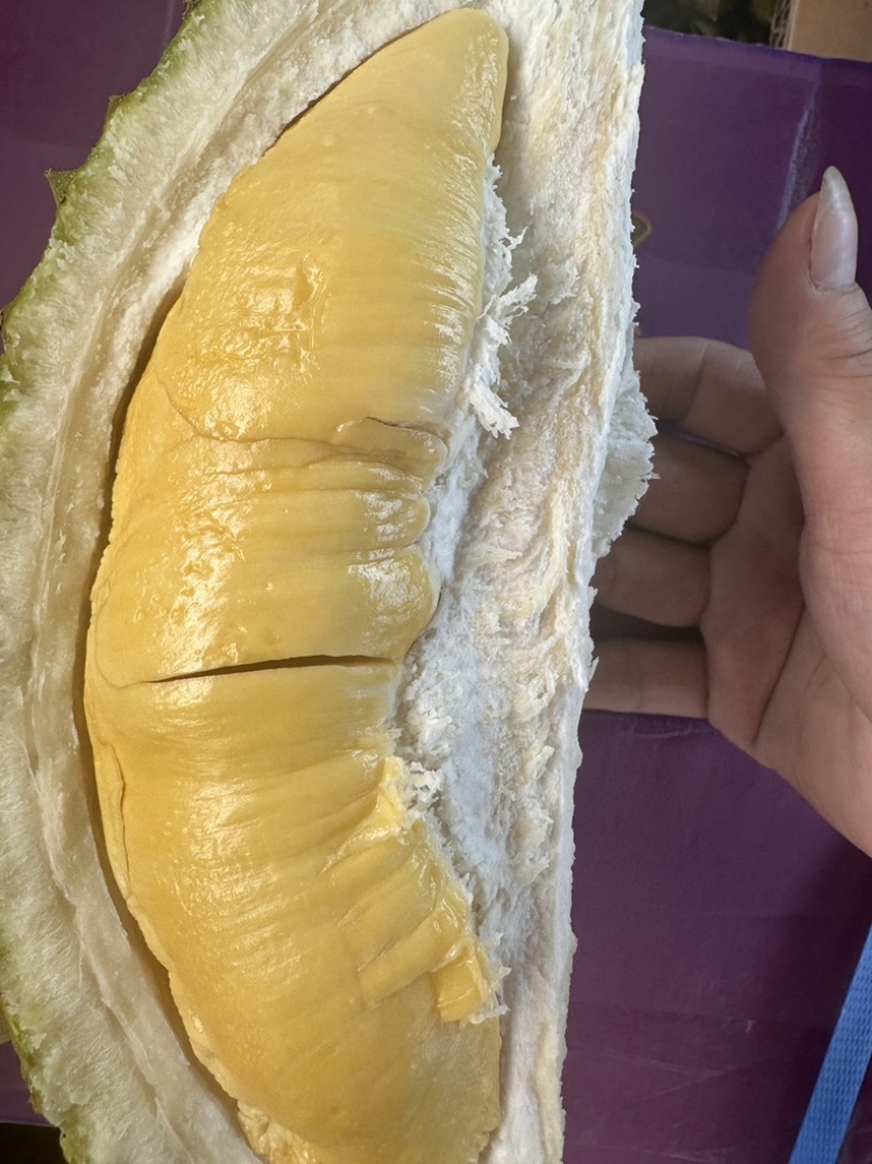鲜果猫山王一件起代发，5件起批
