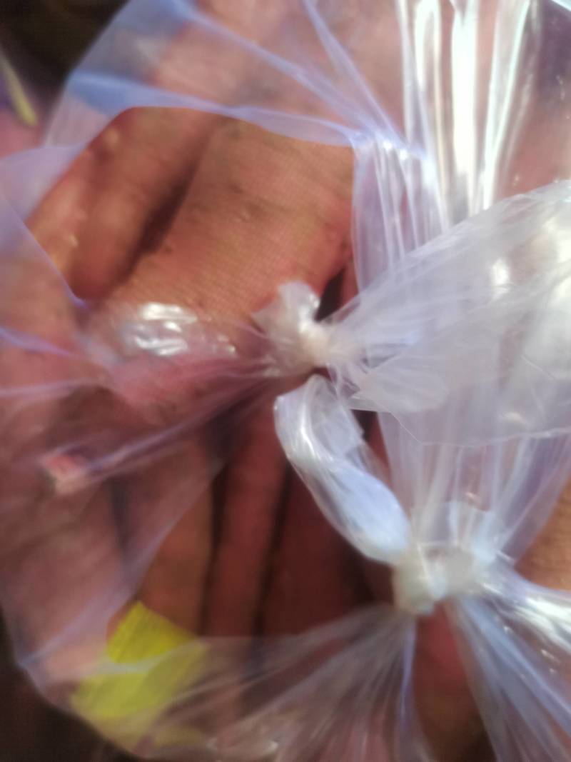 山西省运城市红薯板栗薯一支香白心面甜粉糯红薯一件代发
