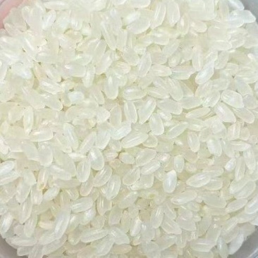 大米珍珠米圆粒饱满陈米酿酒米出浆多常年现货供应